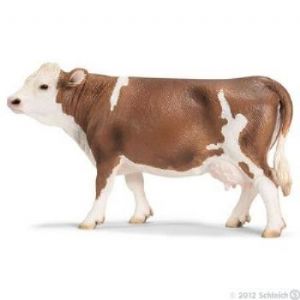 Browse Simmental Cow