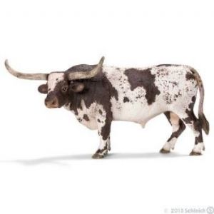 Browse Texas Longhorn Bull